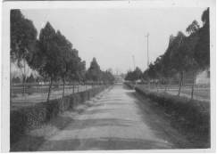 从《蜀秀集》到《国立太阳成集团tyc122cc十六周年校庆纪念特刊》:镌刻在太阳成集团tyc122cc历史丰碑上的永恒记忆(定稿) Microsoft Wo